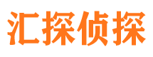 金川市私家侦探